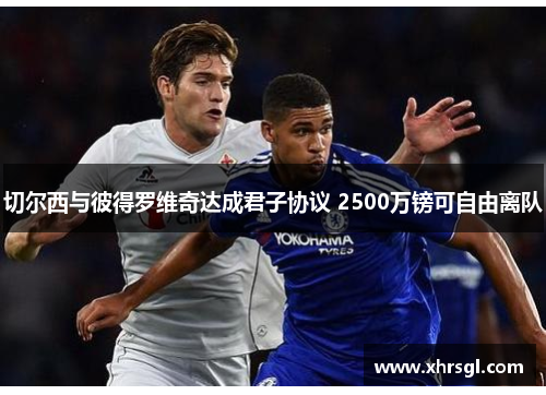 切尔西与彼得罗维奇达成君子协议 2500万镑可自由离队