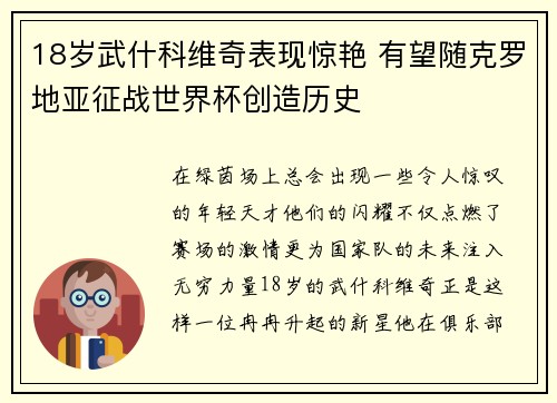 18岁武什科维奇表现惊艳 有望随克罗地亚征战世界杯创造历史 18岁武什科维奇表现惊艳 有望随克罗地亚征战世界杯创造历史